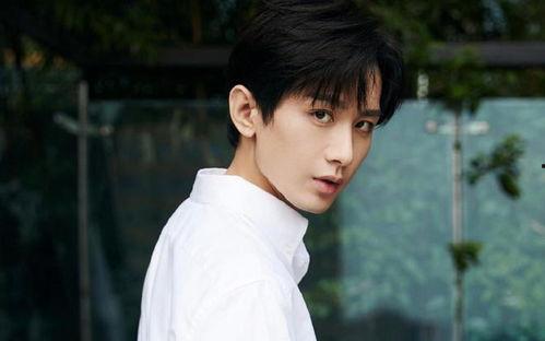 成毅八卦爆料最新,娱乐圈背后的惊人真相